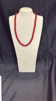 Collana Domar Donna in Argento COAR-16-280
